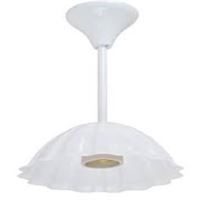 BÜYÜK PAPATYA ASKI TİJ TAKIMI 1